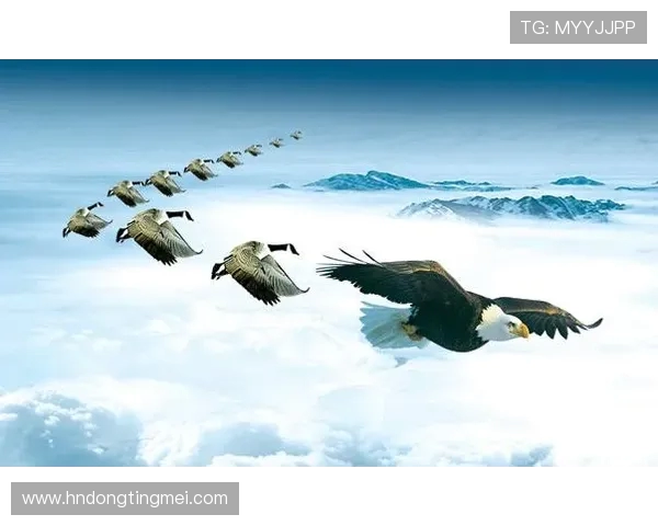 上海1980与生涯俱乐部的对决探索球员成长与团队精神的交汇点