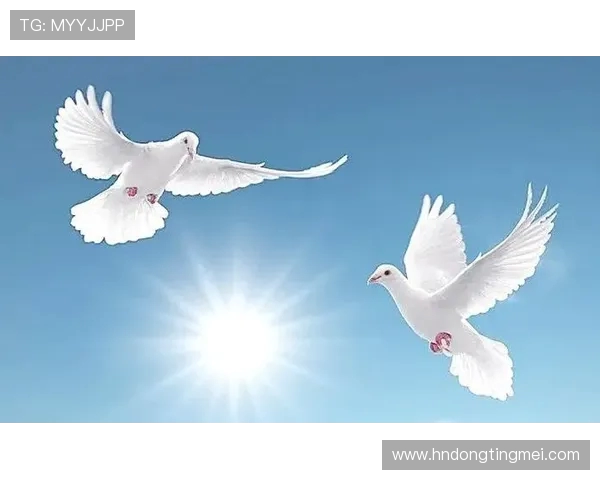 追逐梦想的旅程在天空中绽放光芒与希望的交汇点