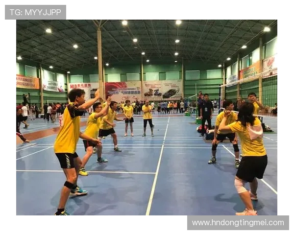 广州排球队创历史新高排球速度排名再创新高峰